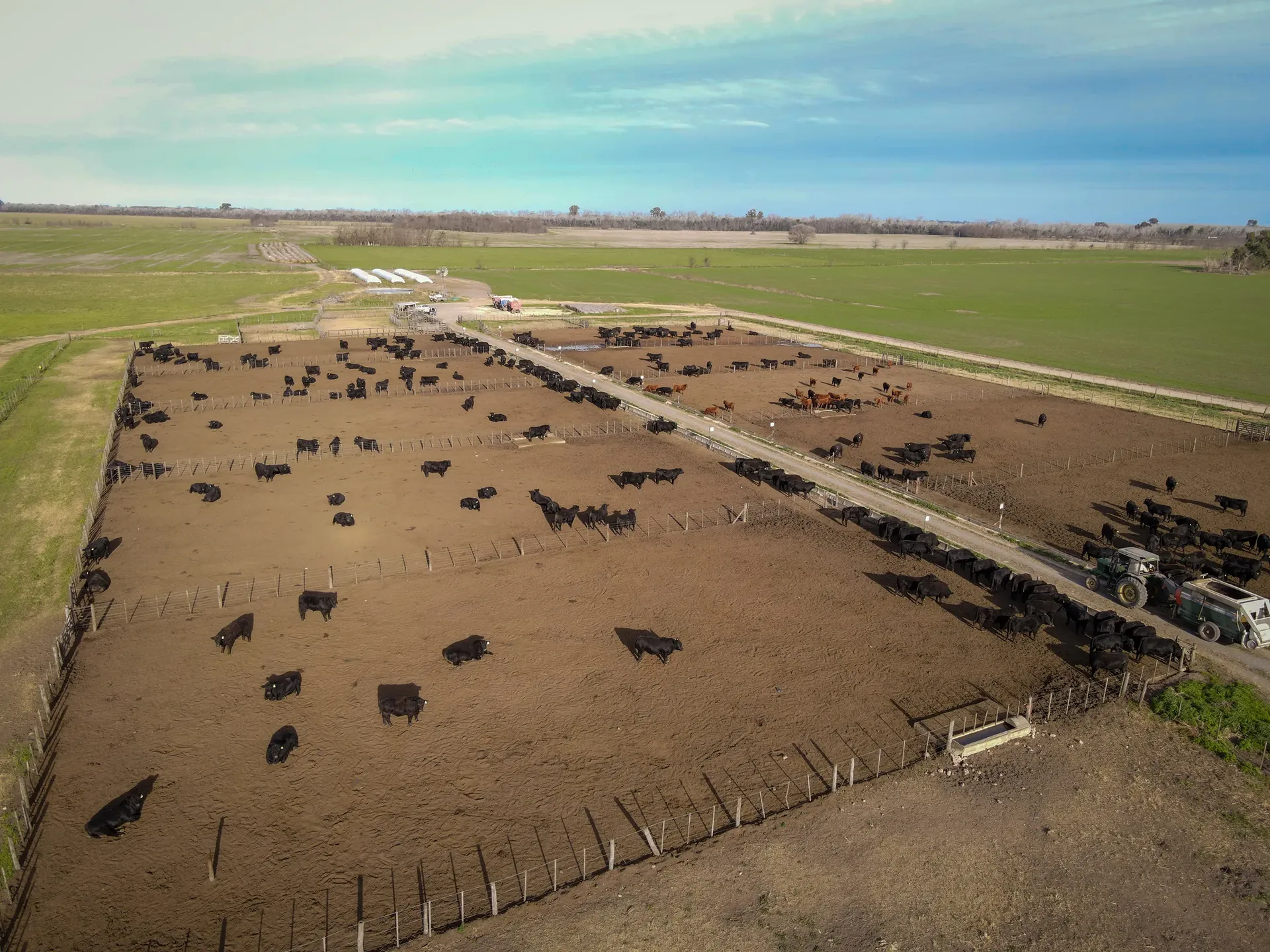 Carnes y granos
