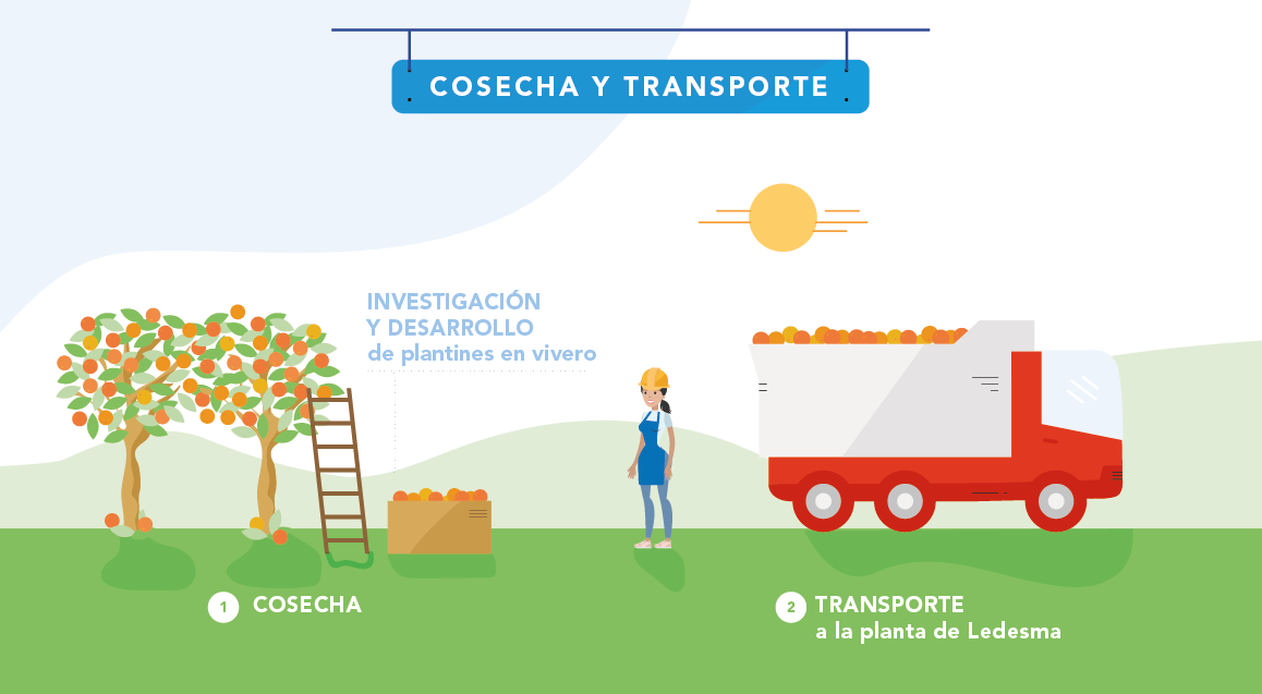 Proceso Cosecha y transporte Jugos y frutas slide 1