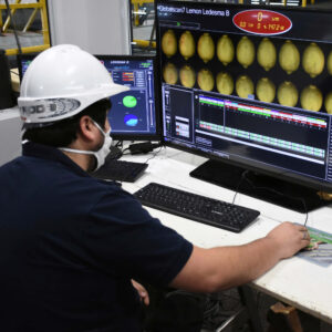 Analista Comercial